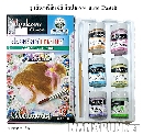 ชุดสีอะคริลิค 6 สี ศิลปากร โทนพาสเทล (Pastel)